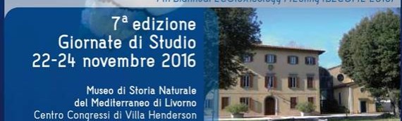 1° Workshop Internazionale  su materiali avanzati e sostenibilità